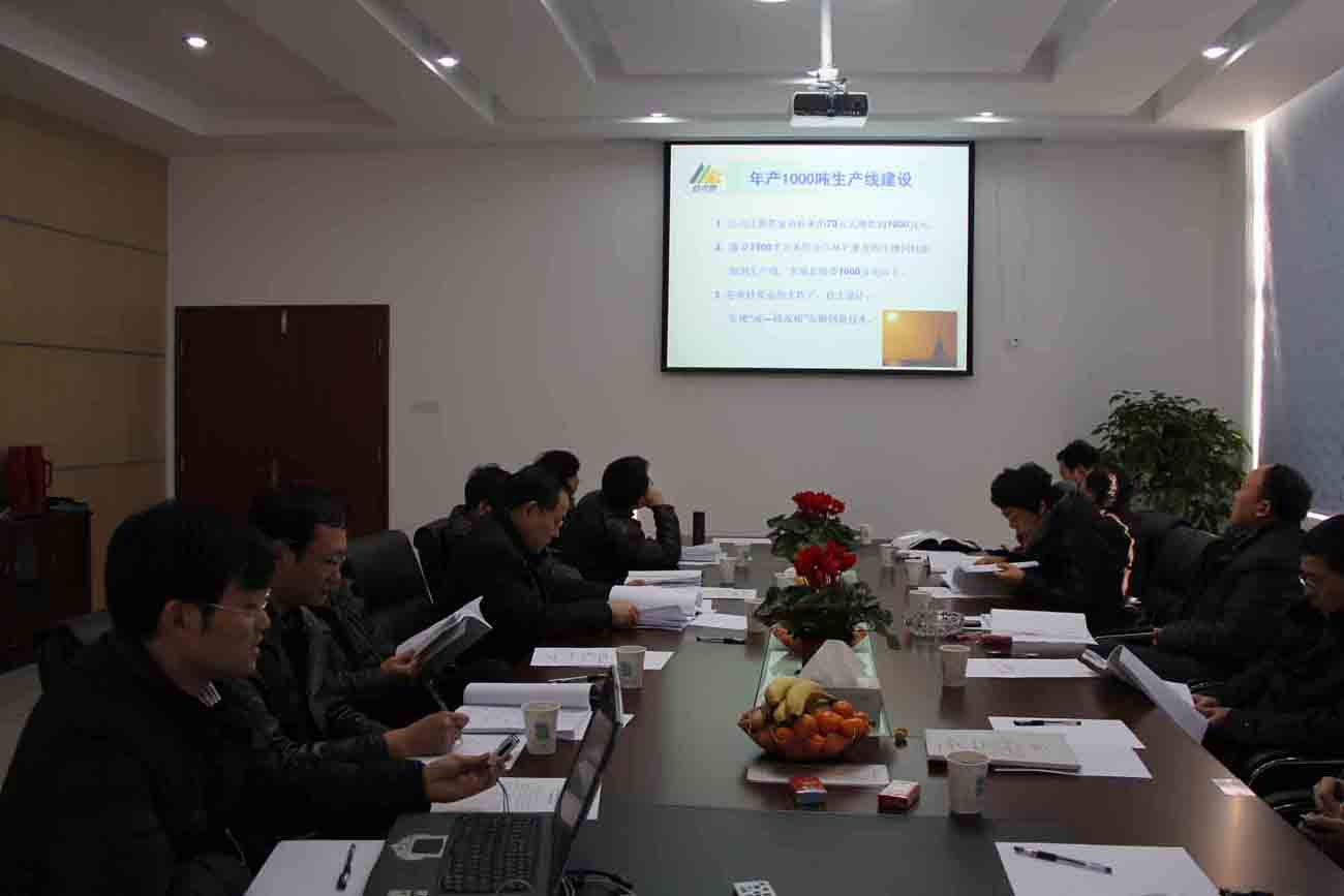 专家组听取项目汇报